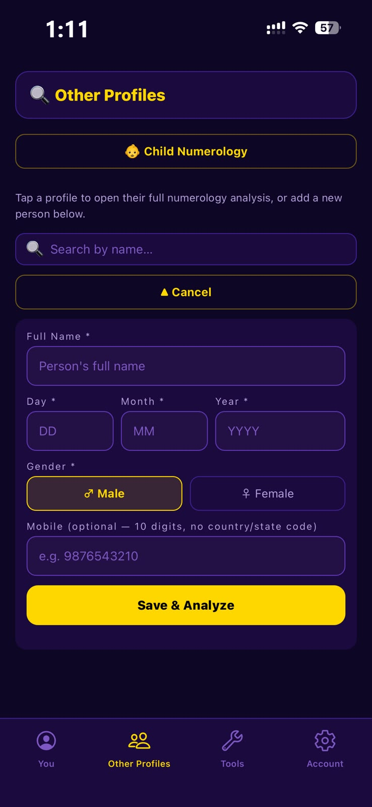 Add and analyze other people's numerology profiles